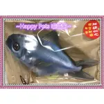 ~HAPPY PETS 喵喵館~BRANDISH LIVING 最新最夯最爆款的 大鮮食貓草魚(鯧魚款) 貓草玩具