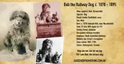 BOB THE RAILWAY DOG DRINK COOLER = AUSSIE MADE =DOUBLE STITCHED=FUNDRAISER