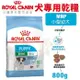 Royal Canin法國皇家 犬專用乾糧800g MNP小型幼犬 犬糧 (8.3折)