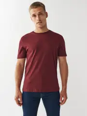 Red Burgundy Regular Fit Essential Crew Neck Cotton T-Shirt (U29642) | $15