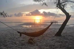 浮木青年旅舍和平房Driftwood Hostel and Bungalow