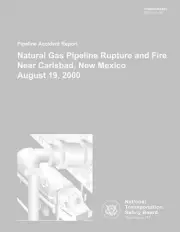 Pipeline Accident Report: Natural Gas Pipeline Rupture and Fire Near Carlsbad, N