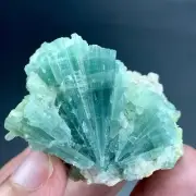 370 Carat Tourmaline Crystal with Matrix Specimen from Afghanistan