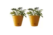 2x Northcote Pottery Leonard 31x27cmSelf Watering Plant Pot Garden Decor Yellow