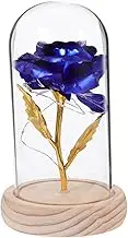 CORHAD Eternal Flower Glass Dome LED Tabletop Lamp Preserved Rose Light for Home Decor Romantic Present Ornament Battery Operated Cozy Atmosphere Lighting for Weddings Anniversaries