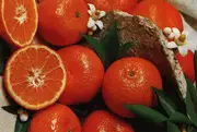 Buy Dwarf Mandarin Nules Clementine in Australia Citrus reticuata