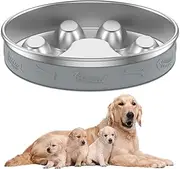 DNAMYJME Dog Slow Feeder Bowl Stainless Steel Dog Slow Feeding Bowl Non Slip Pet Slow Food Bowl Rustproof Slow Feeder Bowl Vomiting Dog Feeding Bowl Washable Slow Feeder Dish for Dogs(Silver)