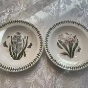 Portmeirion Botanic Garden Low Pasta Bowls (2). 10”. Hyacinth And Amaryllis