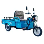 【現貨速發】新款載貨電動三輪車可上牌擺攤專用拉貨農用三輪車小型家用電瓶車
