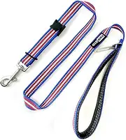 PAW ID Dog Leash Car Seat Belt Chain Clip, Reflective Dog Leash, Adjustable Dog Seat Belt Restraint 4ft Leash, Safety Dog Leash with Car Seat Belt Attachment, 120cm Long (Blue)
