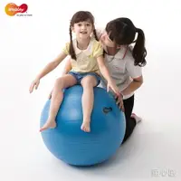 在飛比找樂天市場購物網優惠-【Weplay】童心園 防爆球 - 65cm 增進平衡 訓練