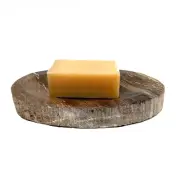 Petrified Wood Soap Dish Holder or Ashtray Millions of Years Old