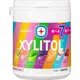 Lotte樂天 XYLITOL 口香糖 多口味