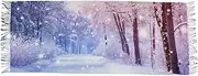 [AIXIWAWA] Women's Pashminas Scarf Beautiful Winter Night Print, Shawls Wrap Lightwight with Tassel for Evening Dress Dinner Party, Multicolor