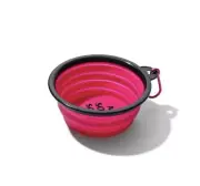 Anti social social club assc silicone collapsable dog doggy bowl puppy eyes pink