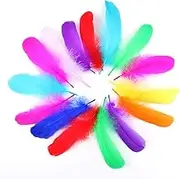 190Pcs Turkey Flats Feathers Colorful Feathers in Bulk DIY Colorful Turkey Feathers Multicolour Feathers for Craft Wedding Home Party Decorations Stationery Office Supplies Practical Deft and Professional