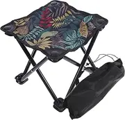 MERRYHAPY Portable Benches Folding Stool for Camping Sketching Chair Comfortable Lightweight Storage Bag