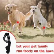 Front Leg Strap Brace Pet Recovery Sleeve for Canine Knee Pad Shoulder Support