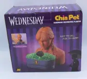 New Chia Pet Handmade Decorative Planter - Wednesday Adams Family