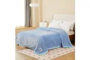 Bedding King Super Soft 4kg 220 x 240 Mink Blanket - Cool Blue Luxe
