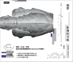 視界, 影像的可能: 國際攝影大賽得獎作品 (附2021年攝影月曆/陳列架)/陳曉信 ESLITE誠品