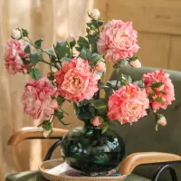 在飛比找樂天市場購物網優惠-左岸麥田 法式油畫仿真牡丹花大朵假花典雅客廳餐桌花裝飾花插花