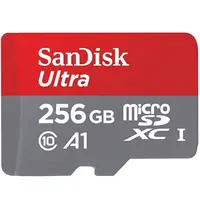 在飛比找蝦皮購物優惠-PSV改機專用256GB已處裡最適合PSV用【SanDisk