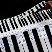 Piano Keyboard Stickers, 88 Full-Size Piano Rake Key Labels Overlay Colorful