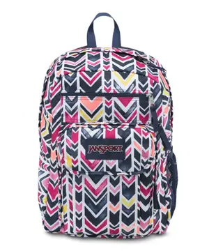 [現貨] jansport 雙肩多功能後背包 digital student V型紋