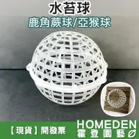 在飛比找蝦皮購物優惠-【台灣現貨】水苔球 亞猴球 鹿角蕨上板 鹿角蕨球 植物上版 