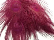 5 Pieces – Burgundy Bleached & Dyed Peacock Tail Eye Feathers 10-12” Long Craft