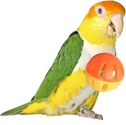 SUPERBIRD Birdie Balls Foot Toy (4Pk), 5cm