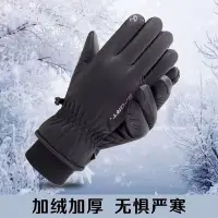 在飛比找Yahoo!奇摩拍賣優惠-促銷 滑雪手套冬季男女防水加厚防風防滑加絨觸屏騎行滑雪運動保