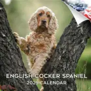 ENGLISH COCKER SPANIEL Wall Calendar 2025 Animal DOG PET Lover Gift