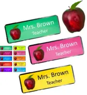 Personalised Teacher Apple Name badge 10 colours Pin or magnet back custom print