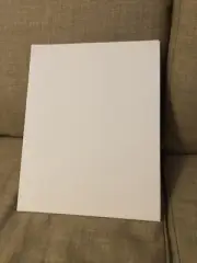 2 Blick Studio Canvas Boards for Painting Canvas Panels for Painting 11 X 14