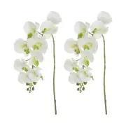 2 Pcs 38 Inch Artificial Orchid Stems Phalaenopsis Flowers White/Green