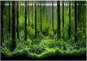 Fish Tank Background, Forest Tank Aquarium Poster 3D Reptile Backgr, Aquarium Background Picture, PVC Adhesive Background Poster Backdrop Decoration Paper for Aquarium Fish Tank(61 * 30cm)