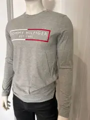 Tommy Hilfiger Men Crew Neck Long Sleeve Graphic Logo Premium Shirt, Heather Gre