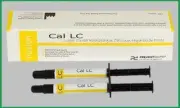 5 X CAL LC Light Cured Radiopaque Calcium Hydroxide Paste 2 x 2gm INTRO PACK