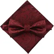 [GTLZHFXS] Bow Ties For Men 1 Set Of Men'S Wedding Suit Dress Accessories Bow Tie Pocket Square Set
