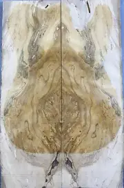Worm-hole Spalted Maple Telecaster Guitar/Bass Drop Top Wood Set Luthier Supply