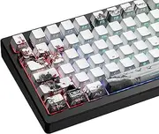 XVX PBT Keycaps - Side Print, Shine Through Custom, Retro Keycap Set, 128 Cherry Profile Keys for Mechanical Keyboards, Plum Blossom