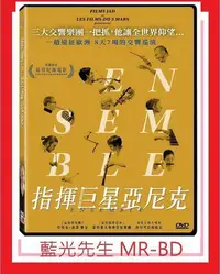 在飛比找Yahoo!奇摩拍賣優惠-[藍光先生DVD] 指揮巨星亞尼克 Ensemble (海鵬