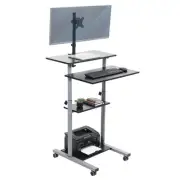 TechOrbits Mobile Computer Workstation with Monitor Mount
