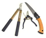 Pruning Tool Kit, 3 pcs: Pruner, Saw & Lopper