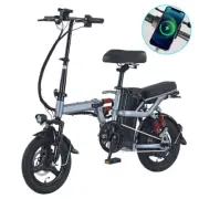 Foldable Electric Bike 1000W 40KM/H Protable Commuter Bicycle 14Inch E Bike 48V