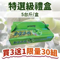 在飛比找台灣好農優惠-～限量30組～買3送1【東豐果園】屏東高樹-特選級蜜棗手提禮