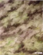 JP 10 x 20 ft SCENIC MUSLIN BACKDROP / BACKGROUND 27-096