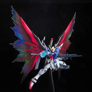 【BANDAI】代理版 組裝模型 MG 1/100 鋼彈 Seed Destiny 命運鋼彈 光之翼 特別豪華版